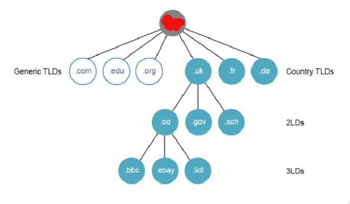 PHOTO DNS MISSING ROOT