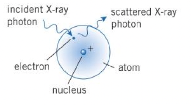 PHOTO SIMPLE SCATTERING