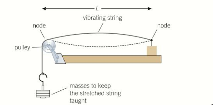 PHOTO STATIONARY WAVE STRING