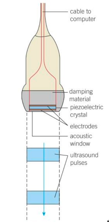 PHOTO ULTRASOUND TRANSDUCER